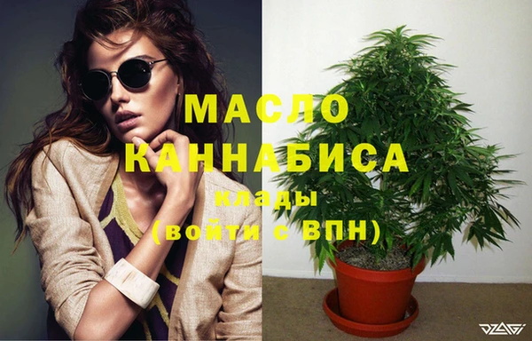 первитин Няндома