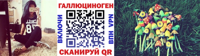 Галлюциногенные грибы Magic Shrooms  omg как войти  Наволоки  где найти  